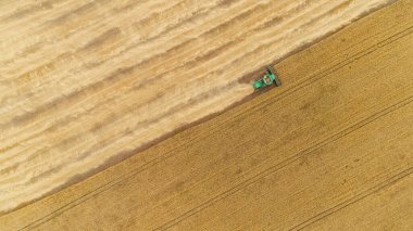 Hava görüntüsü tarladaki hasatçıları birleştiriyor.