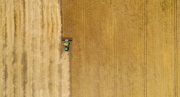 Hava görüntüsü tarladaki hasatçıları birleştiriyor.