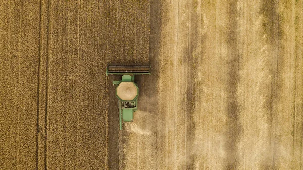 Hava görüntüsü tarladaki hasatçıları birleştiriyor.