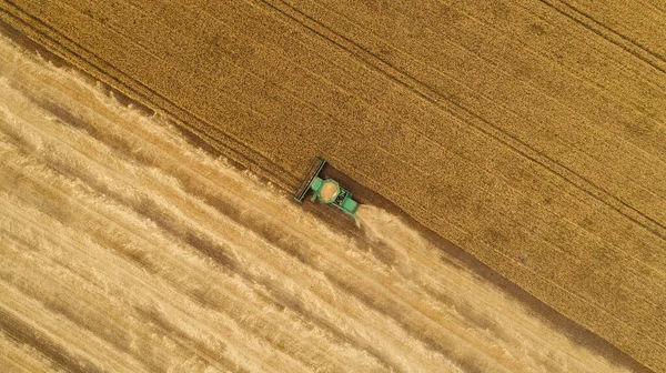 Hava görüntüsü tarladaki hasatçıları birleştiriyor.