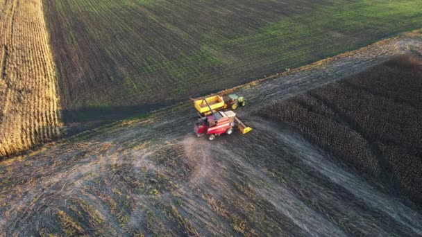 Zdjęcie lotnicze kombajnu. Maszyny rolnicze pracujące na użytkach rolnych podczas zbiorów. Koncepcja rolnictwa. — Wideo stockowe