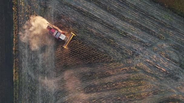 Zdjęcie lotnicze kombajnu. Maszyny rolnicze pracujące na użytkach rolnych podczas zbiorów. Koncepcja rolnictwa. Widok z góry — Wideo stockowe