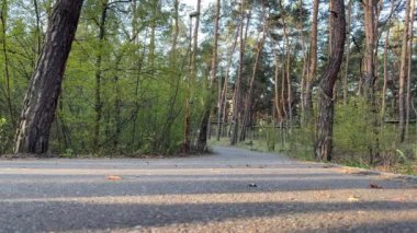 Modern mutlu kadın çam ormanında scooter sürüyor. 