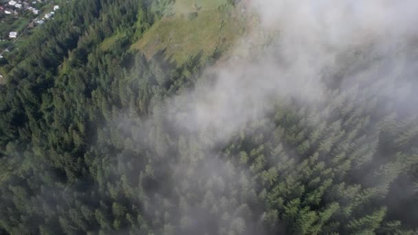 Sorvolando le alte montagne con pineta in splendide nuvole. Vista aerea — Video Stock