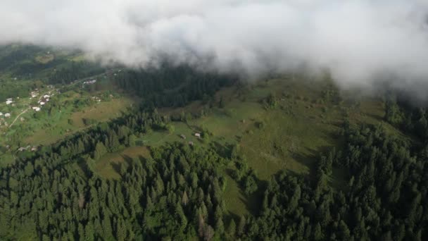 Volando sobre las altas montañas con bosque de pinos en hermosas nubes. Vista aérea — Vídeo de stock