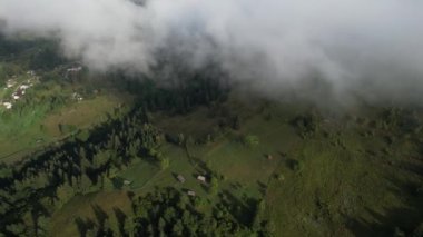 Çam ormanı içinde güzel bulutlar ile yüksek Dağların üzerinden uçan. Havadan görünümü