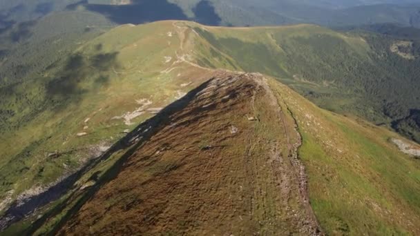 Aerial view of tourists climb to the top of the mountain Hoverla, Ukraine — Video