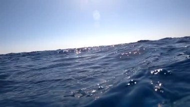 Sualtı kamerası, Mısır 'ın derinliklerine, Kızıl Deniz' e dalıyor. hd video