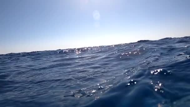 Подводная камера погружается в воду и в глубины Египта, в Красное море. Видеоролик — стоковое видео