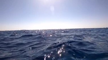 Sualtı kamerası, Mısır 'ın derinliklerine, Kızıl Deniz' e dalıyor. hd video