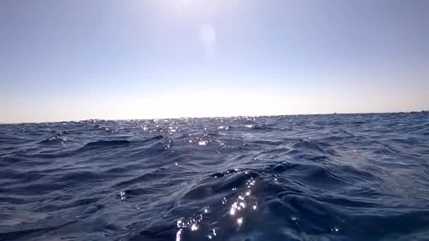 Underwater camera plunges over down into the water and into the depths of Egypt, the Red Sea. hd video — Stock Video