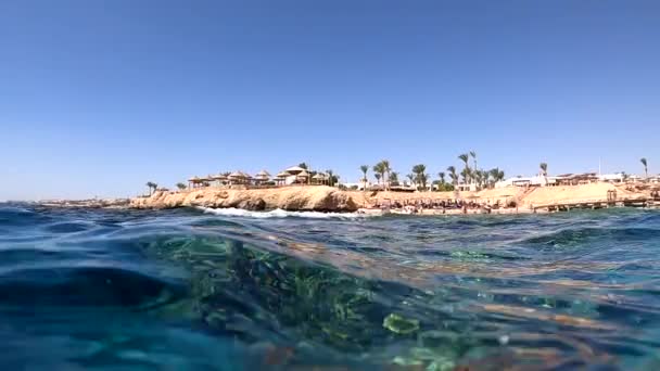 La cámara submarina se sumerge en el agua y en las profundidades de Egipto, el Mar Rojo. vídeo hd — Vídeo de stock