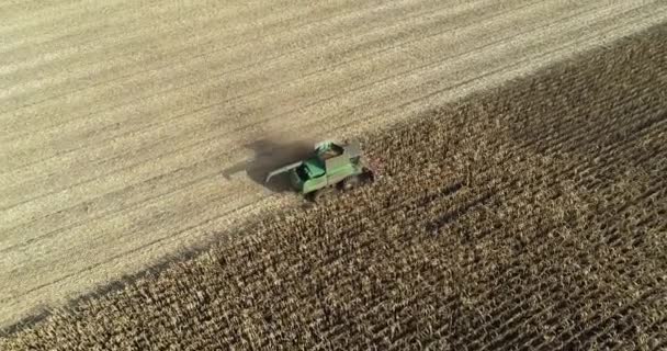 Aerial view of a harvester harvesting corn in the field. 4k video footage with agricultural machinery — Vídeo de Stock