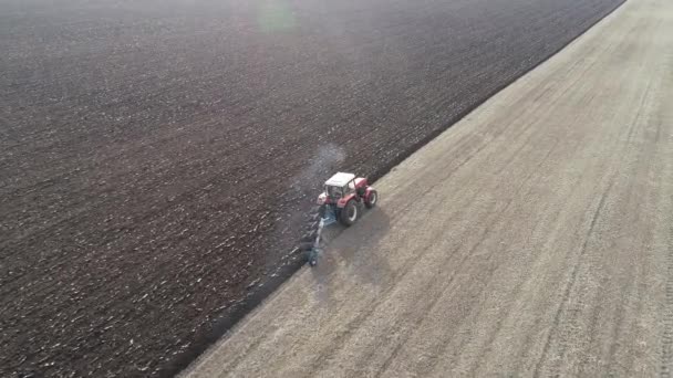 Tractor pequeño rojo agrícola en el arado de campo. — Vídeo de stock