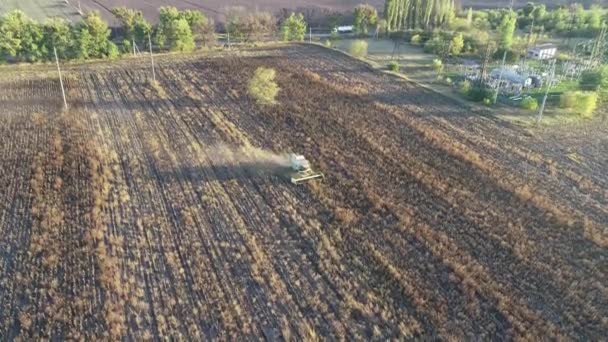 Skördaren kör genom åkern med solrosor och skördar. Flygbild — Stockvideo