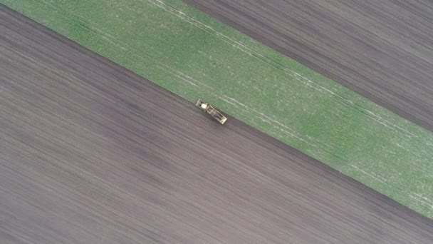 特別な農業機械は畑でビートを収集します。空中風景 — ストック動画