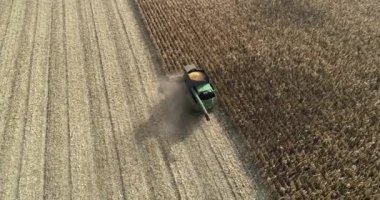 Aerial view of a harvester harvesting corn in the field. 4k video footage with agricultural machinery