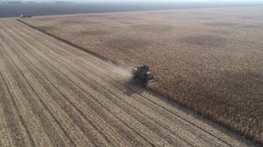 Tarlada mısır toplayan bir hasatçının hava görüntüsü. Zirai makinelerle 4k video görüntüsü