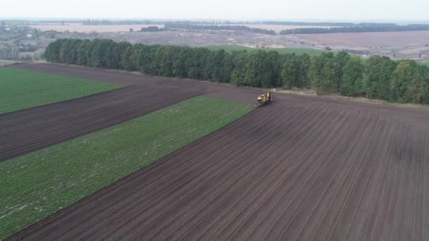 Special agricultural machinery collects beet on the field. Aerial view — Stock Video