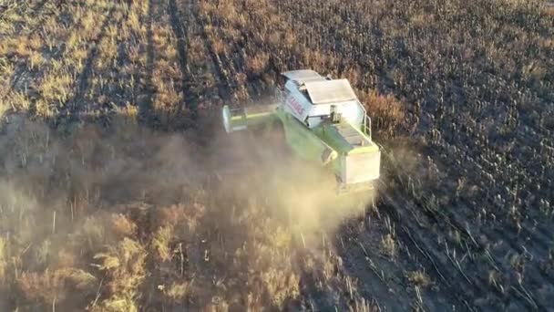 De oogstmachine rijdt met zonnebloemen en oogsten door het veld. Luchtzicht — Stockvideo