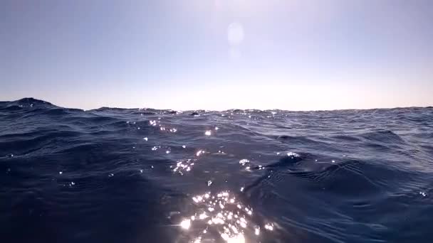 Підводна камера спускається вниз у воду і в глибини Єгипту, Червоного моря. hd відео — стокове відео