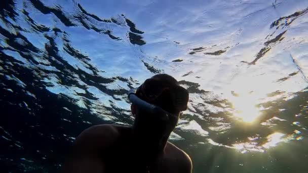 HD video potápěč potápění v Rudém moři, Egypt. Zpomalení — Stock video