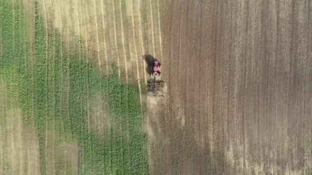 Trattore grande rosso agricolo nel campo aratura. — Video Stock