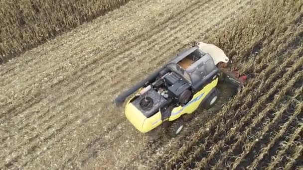 Widok z lotu ptaka na żniwiarkę zbierającą kukurydzę na polu. 4k materiał wideo z maszynami rolniczymi — Wideo stockowe