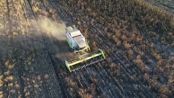 The harvester drives through the field with sunflowers and harvests. Aerial view — Stock Video