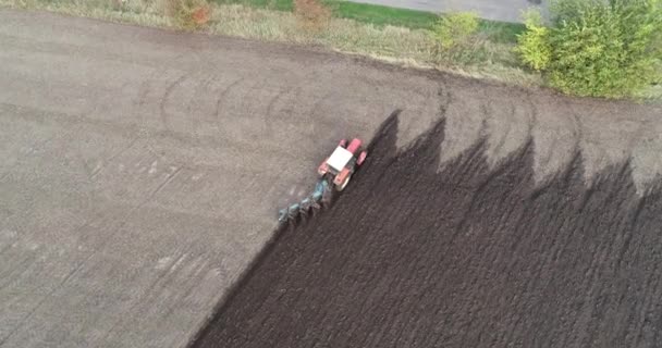 Agricultural red small tractor in the field plowing. — Stock Video