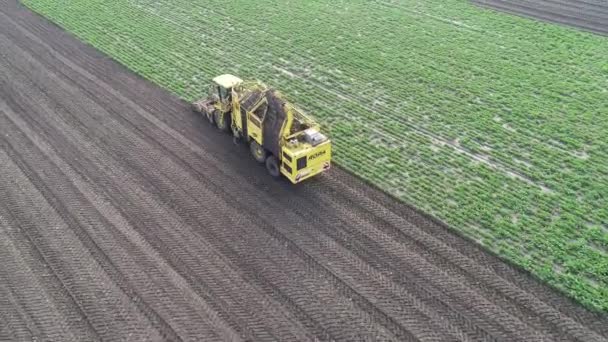Máquinas agrícolas especiais recolhem beterraba no campo. Vista aérea — Vídeo de Stock
