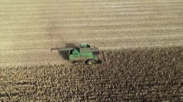 Widok z lotu ptaka na żniwiarkę zbierającą kukurydzę na polu. 4k materiał wideo z maszynami rolniczymi — Wideo stockowe