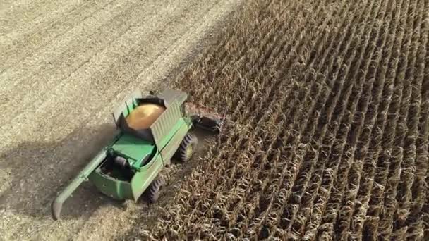 Aerial view of a harvester harvesting corn in the field. 4k video footage with agricultural machinery — Stock Video