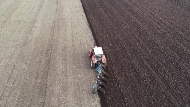 Agricultural red small tractor in the field plowing. — Stock video