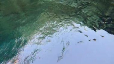 Mısır 'daki Kızıl Deniz' deki mercan resifinin 4k video görüntüleri