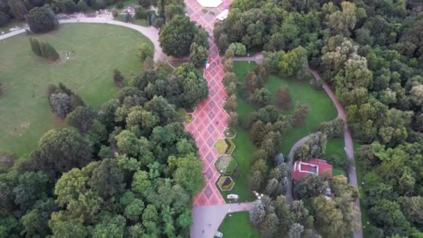 Letecký pohled v kvalitě 4k v městském parku s loukou, stromy a stezkami. Horní pohled — Stock video