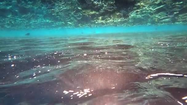 Stock Videoaufnahmen der Unterwelt des Roten Meeres in Ägypten. HD-Video — Stockvideo