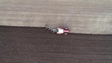 Agricultural red small tractor in the field plowing.