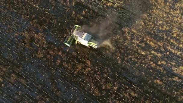 The harvester drives through the field with sunflowers and harvests. Aerial view — Vídeo de Stock