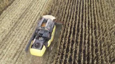 Tarlada mısır toplayan bir hasatçının hava görüntüsü. Zirai makinelerle 4k video görüntüsü