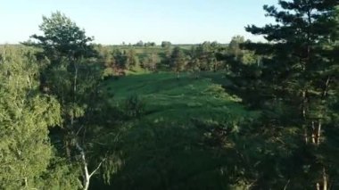 Tepeleri ve yeşil çayırları olan güzel manzaranın havadan görünüşü