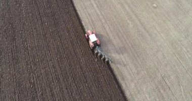 Agricultural red small tractor in the field plowing.