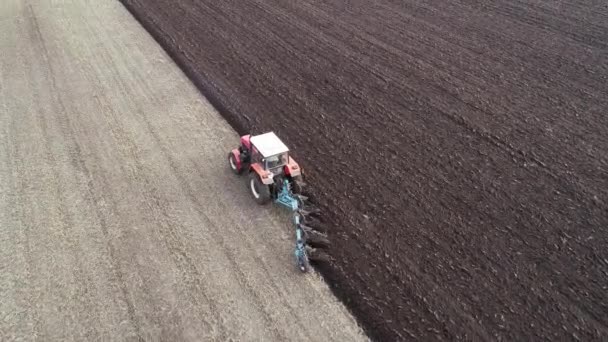 Petit tracteur agricole rouge sur le terrain labourage. — Video