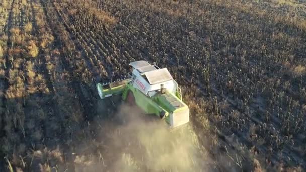 A betakarító napraforgóval és aratással hajt át a mezőn. Légi felvétel — Stock videók
