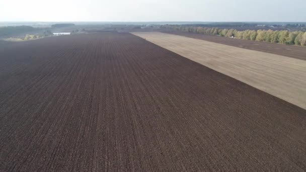 Trator Pequeno Vermelho Agrícola Arado Campo Sistema Lavoura Campo Cultivado — Vídeo de Stock