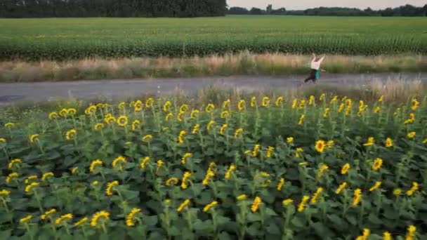 Aerial View Happy Child His Mother Running Field Sunflower Having — Stockvideo