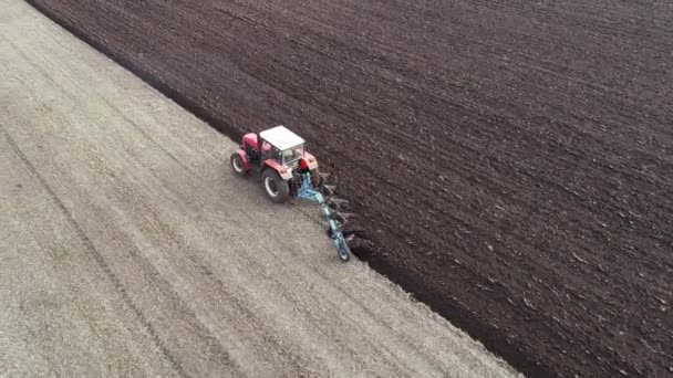 Agricultural Red Small Tractor Field Plowing System Plowing Ground Cultivated — Vídeo de Stock