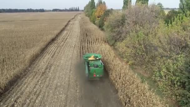 Widok Lotu Ptaka Żniwiarkę Zbierającą Kukurydzę Polu Materiał Wideo Maszynami — Wideo stockowe