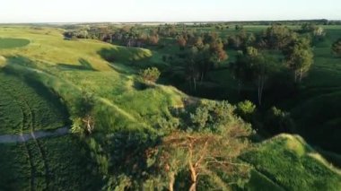 Baharın başında yemyeşil tepeler, bir vadi ve yeşil bir tarla ile güzel bir manzaranın 4k kalitesinde hava manzarası