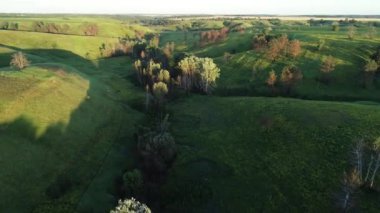 Baharın başında yemyeşil tepeler, bir vadi ve yeşil bir tarla ile güzel bir manzaranın 4k kalitesinde hava manzarası